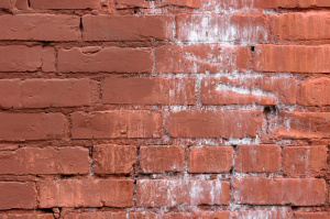 Высолы: лечение и профилактика