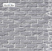 Вельс Брик 392-10