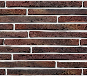 Борнео 494