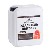 Удалитель высолов Prosept Soltcleaner 5л