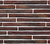 Борнео 494